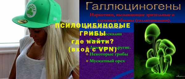 мдпв Заводоуковск