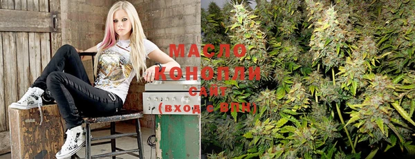 мдпв Заводоуковск