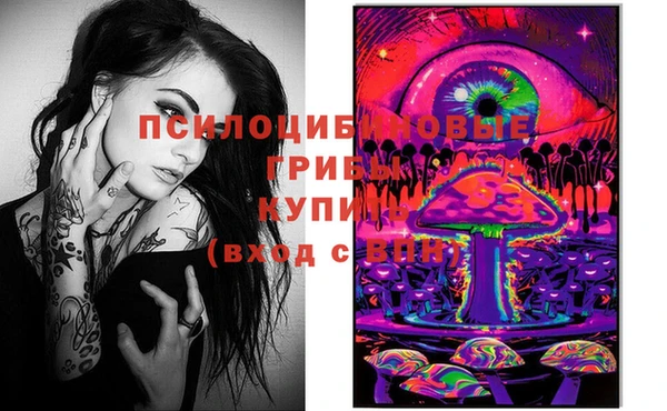 стаф Заволжье