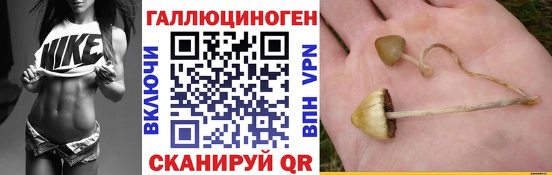 Купить где  Ленинск  Галлюциногенные грибы MAGIC MUSHROOMS 
